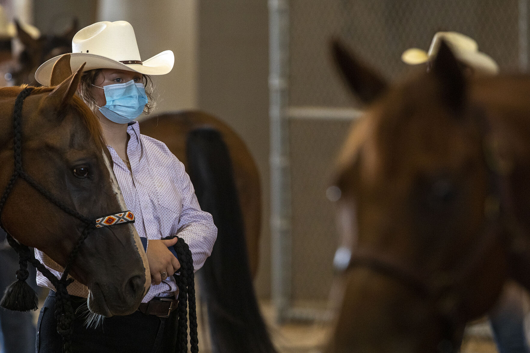 4-H horse show